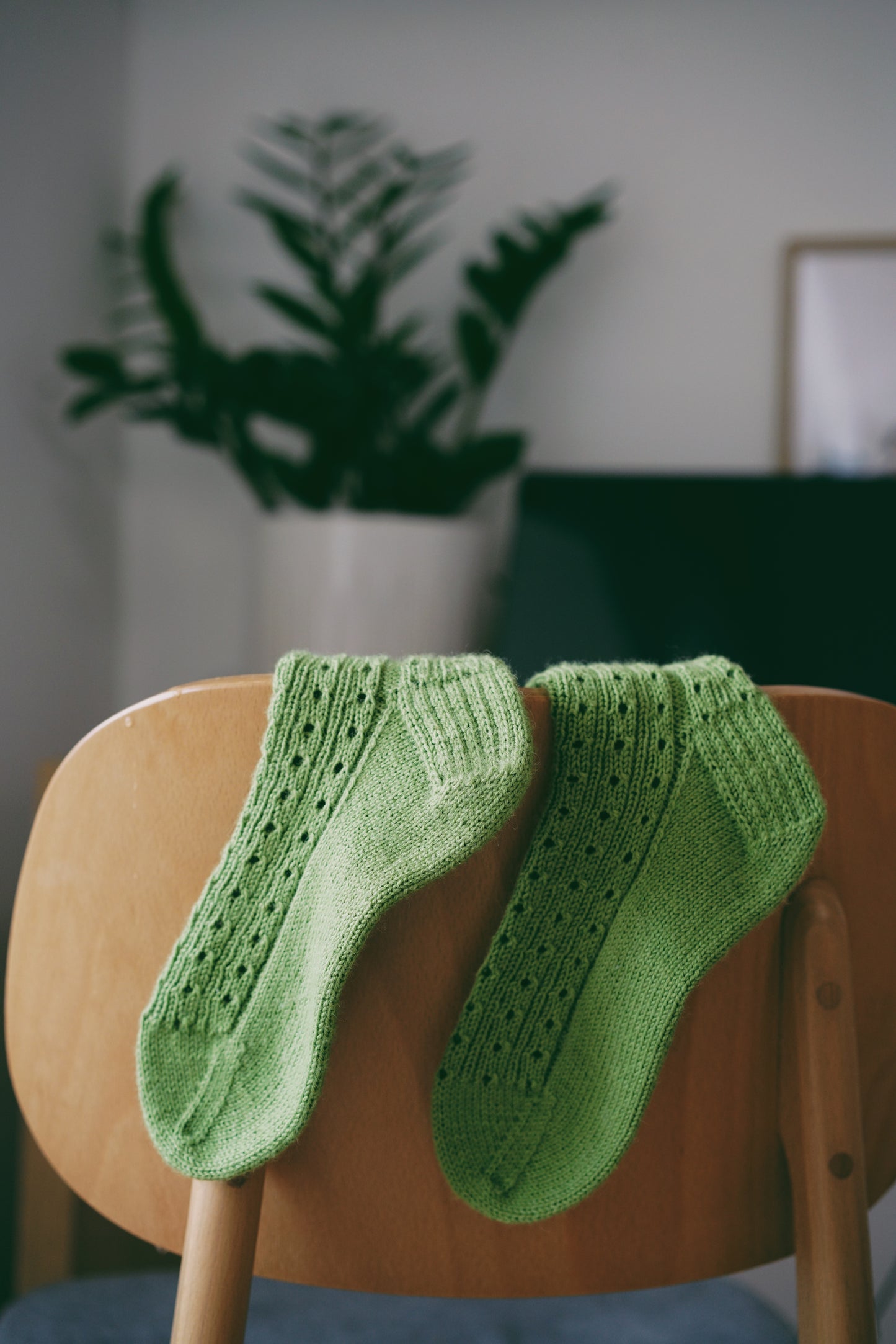 Holey Socks